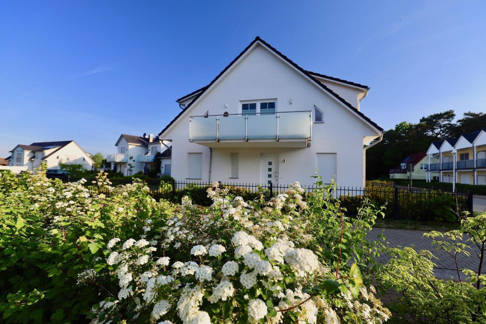 טיסואו Ferienwohnung4 Im Haus Moewe מראה חיצוני תמונה